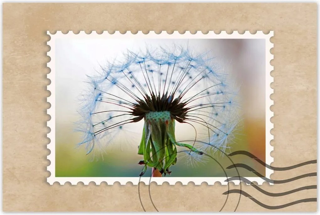 Poszterek 60x40 Pitypang Virág Virágok