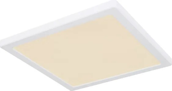 Globo 12380-24W - LED Mennyezeti lámpa LASSE LED/24W/230V 3000/4000/6500K fehér