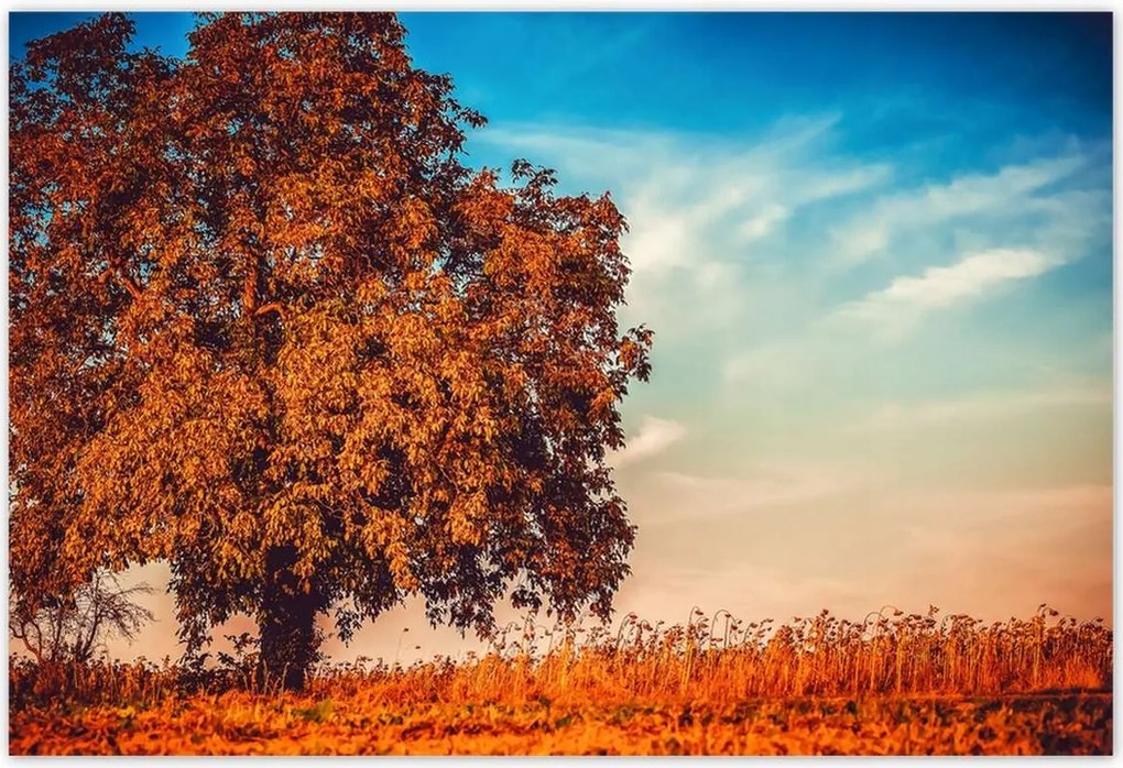 Poszterek 185x125 Őszi színek Tájkép