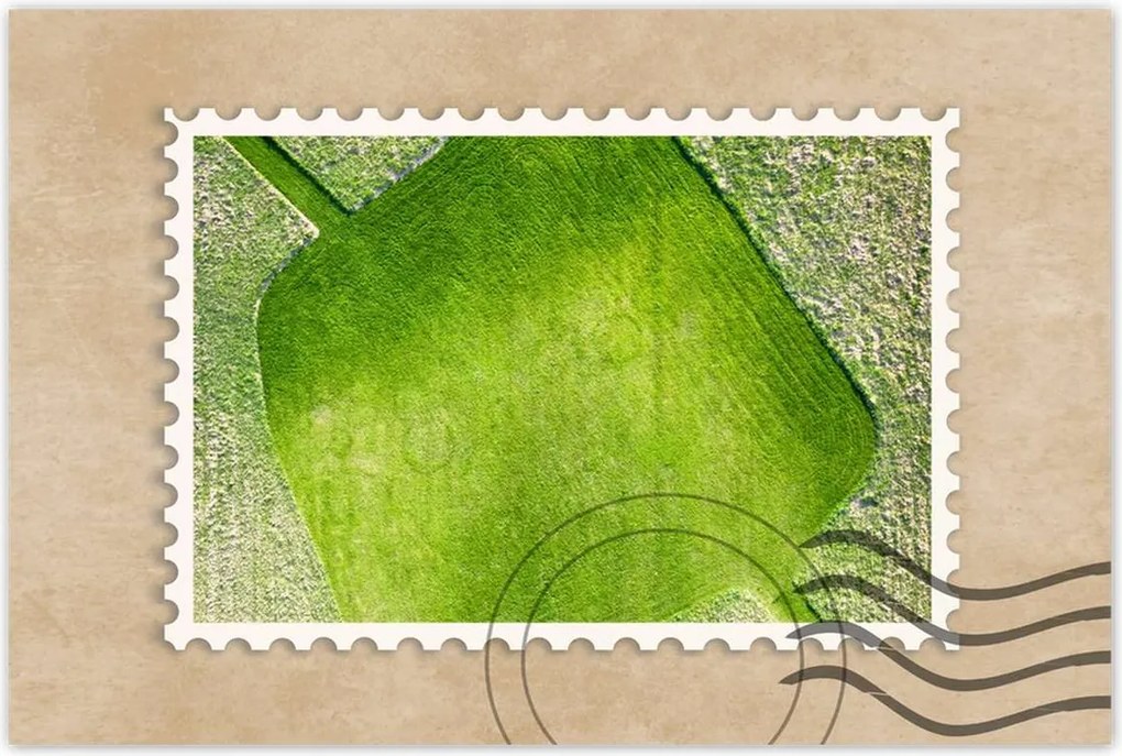 Poszterek 120x80 Fű mező rét út