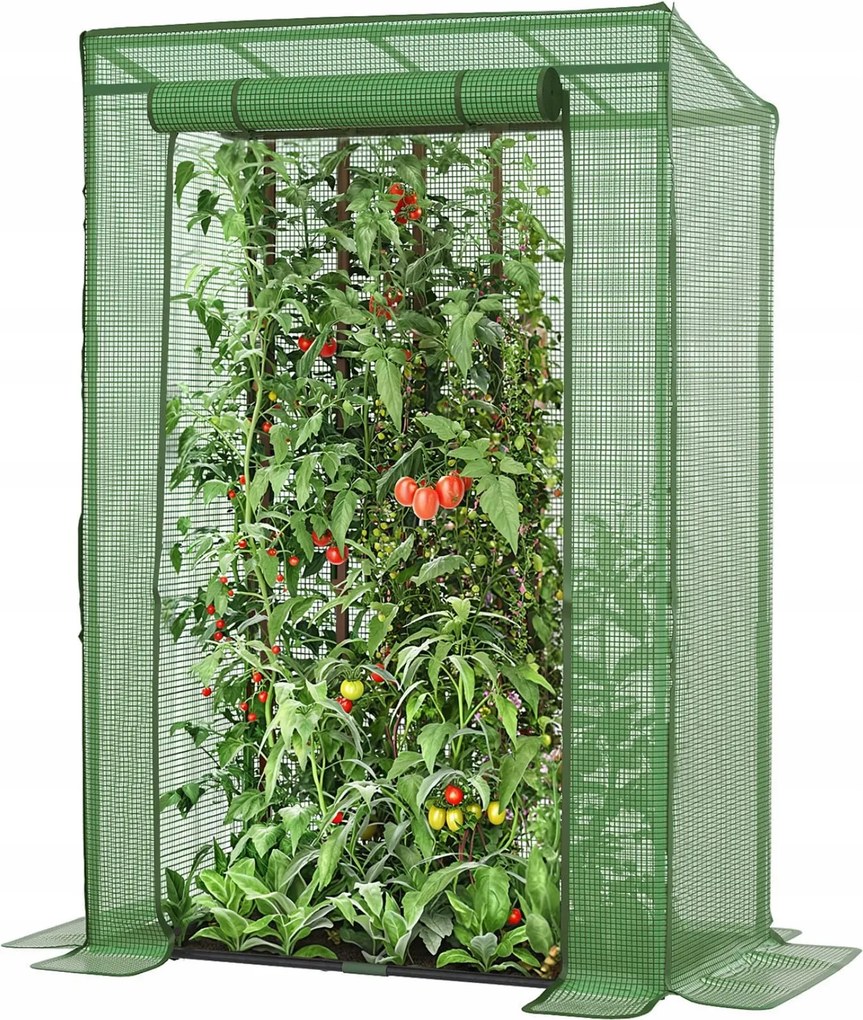 Larmnee Üvegház paradicsom zöldség virágok tetővel 100x50x150 cm