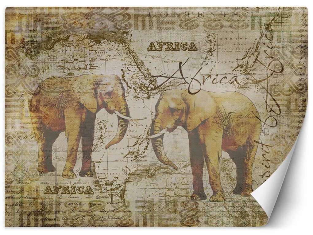 Gario Fotótapéta Régi térkép és elefántok vintege - Andrea Haase Anyag: Vlies, Méret: 100 x 70 cm
