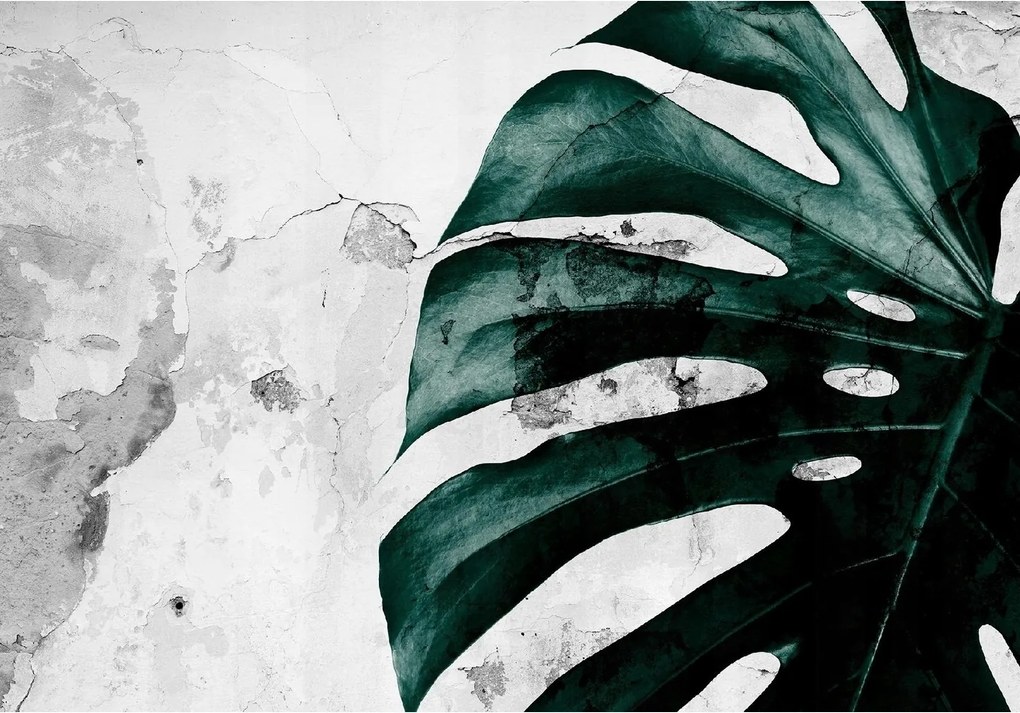 Fotótapéta Monster levelek beton utánzat 416x254