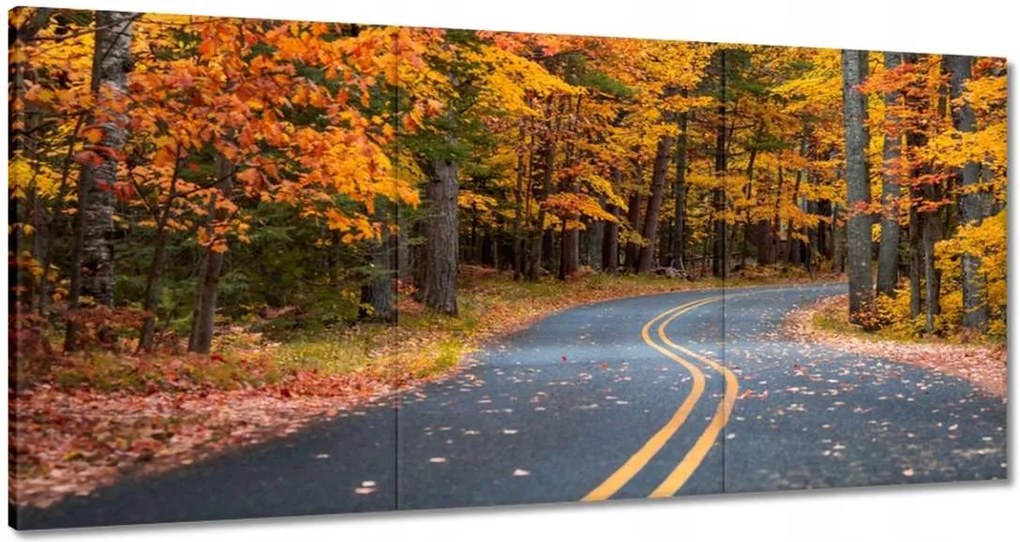 Festmények 120x60 Tájkép Látvány