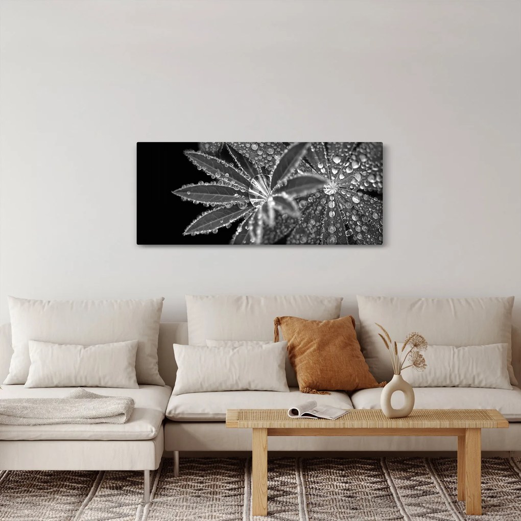 Kép - Levelek cseppekkel (120x50 cm)