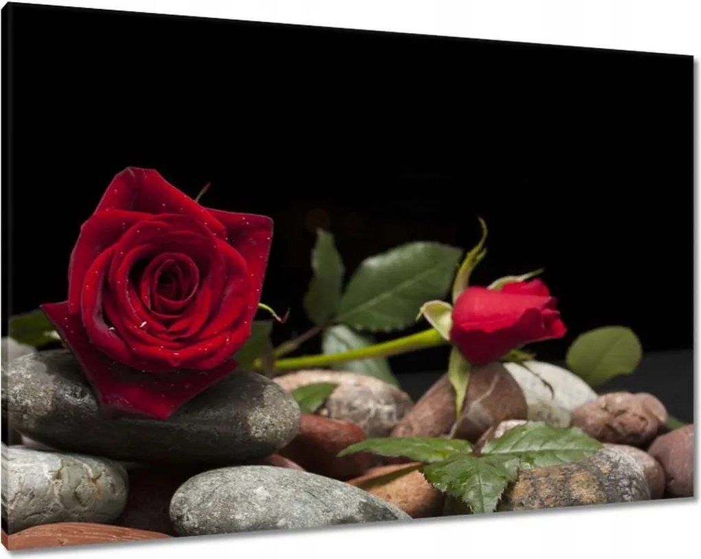 Vászonkép 100x70 Spa Wellness Relaxáció Víz