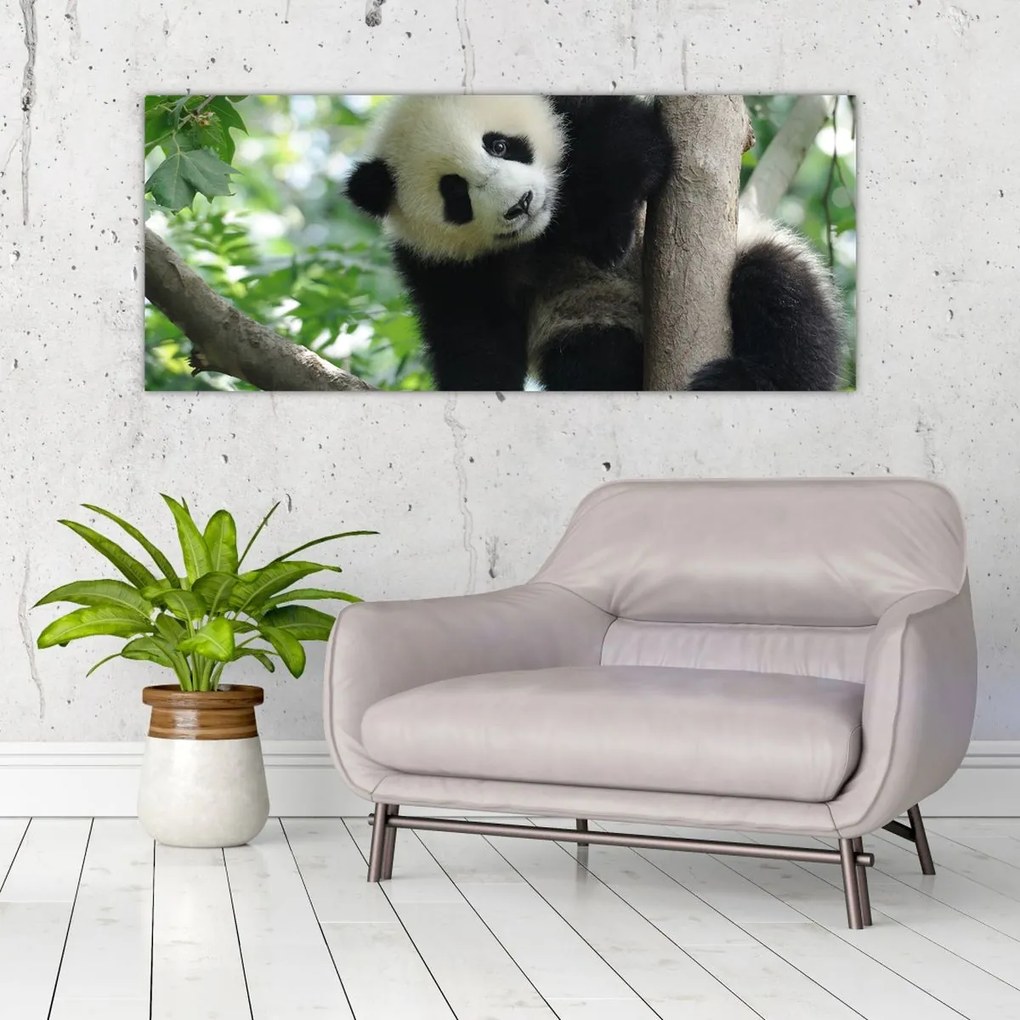 Kép - Panda a fán (120x50 cm)