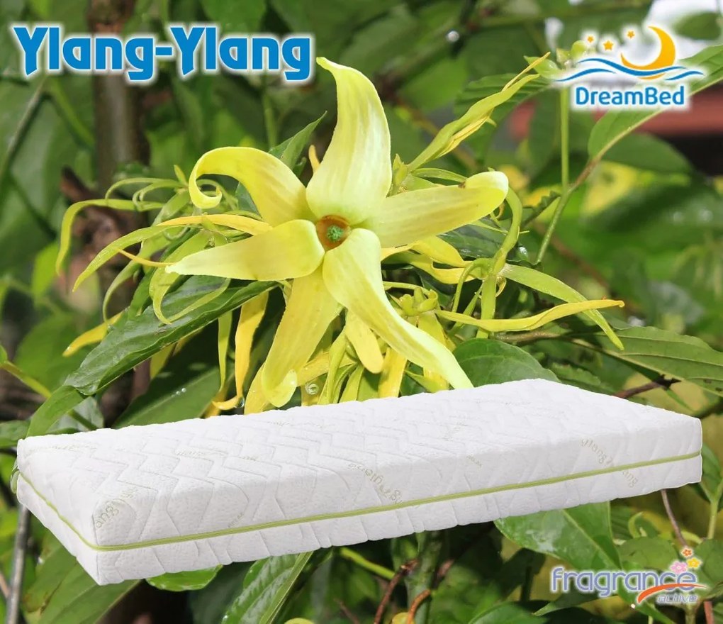 DreamBed Ylang memóriahabos matrac - 85x190cm