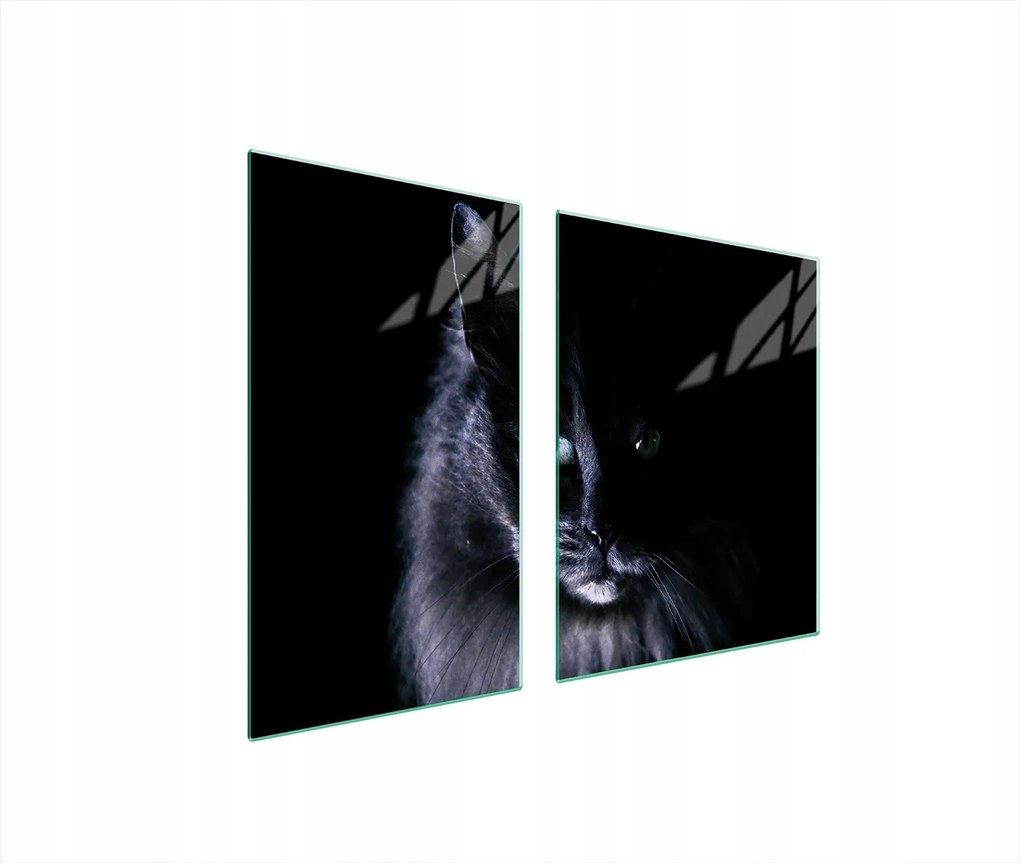 Üveglap És Vágódeszka 100x52 Macska Edzett Üveg