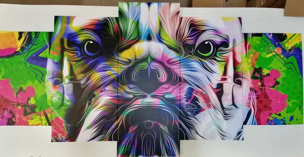 5 részes kép pop-art bulldog