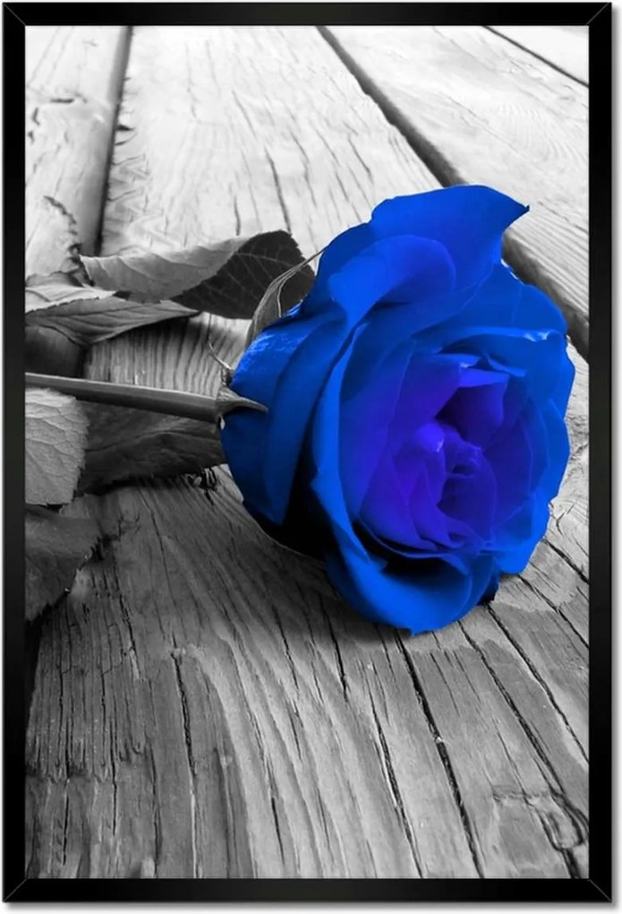 Poszterek keretben 40x60 Tintarózsa