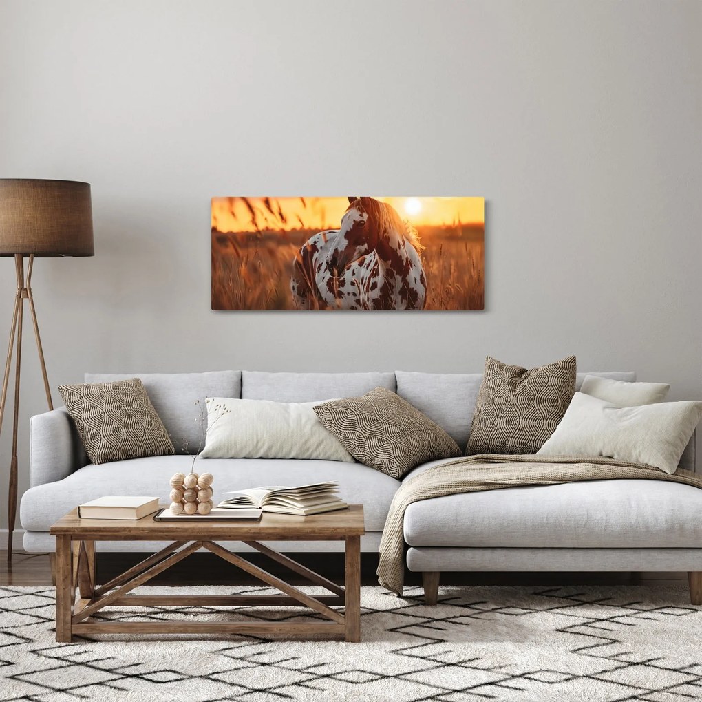 Kép - Ló naplementében (120x50 cm)