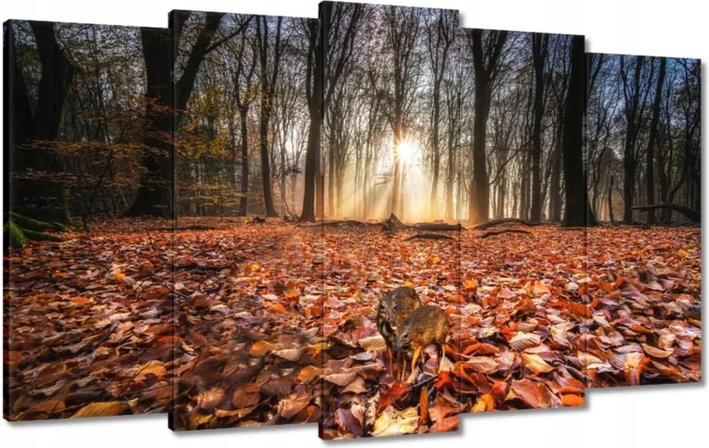 Festmények 100x60 Kihalás fenyegeti