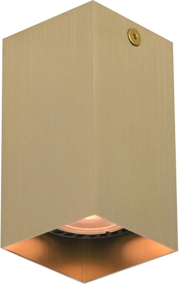 Italux Ander CLN-28394-S-GD Felületi spotlámpa 1x10W/GU10 IP20