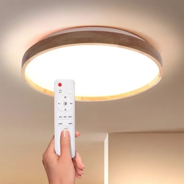 Brilagi - LED dimmelhető mennyezeti lámpatest ALSON LED/48W/230V 3000-6500K + távirányító