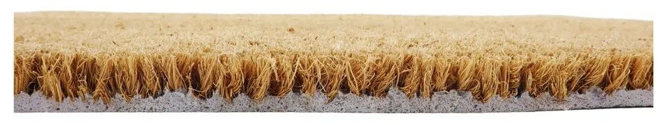 Kókuszrost lábtörlő 40x60 cm Yell Ding Dong – Artsy Doormats