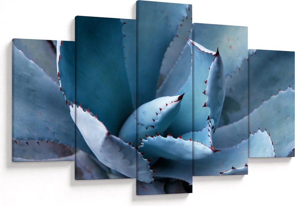 Kép - Agave (150x105 cm)
