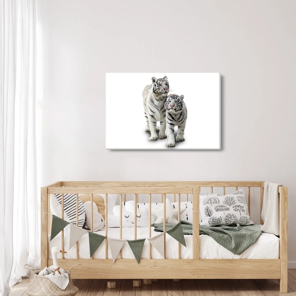Kép - A fehér tigris (90x60 cm)