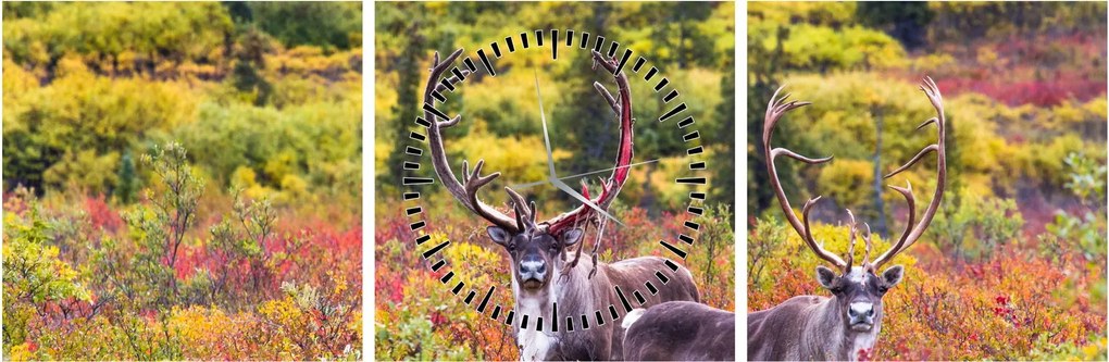 Kép - Caribou, Alaszka (órával) (90x30 cm)