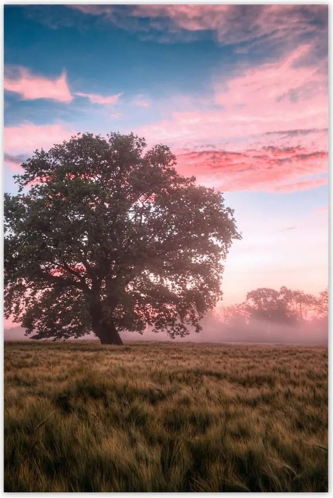 Poszterek 80x120 Candy tájkép Köd