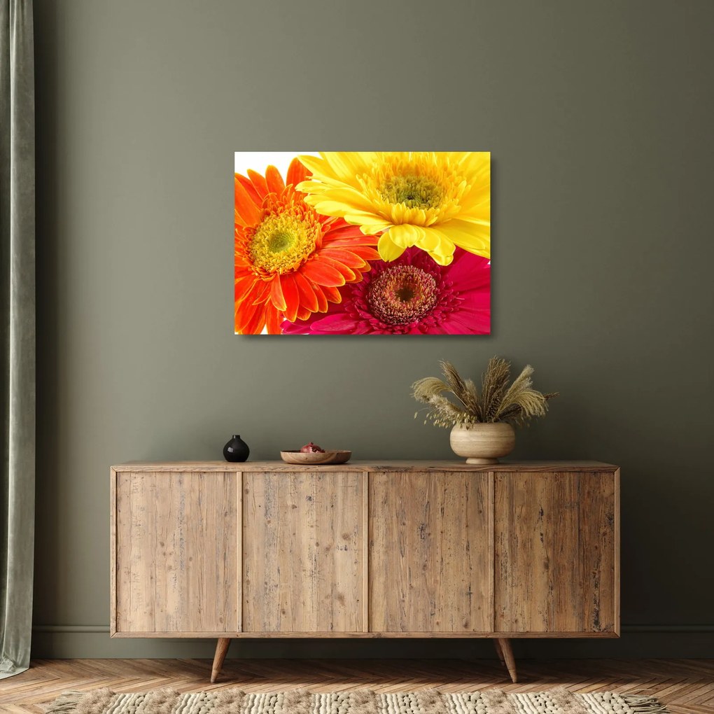 Üveg kép - Virágok Gerbery (70x50 cm)