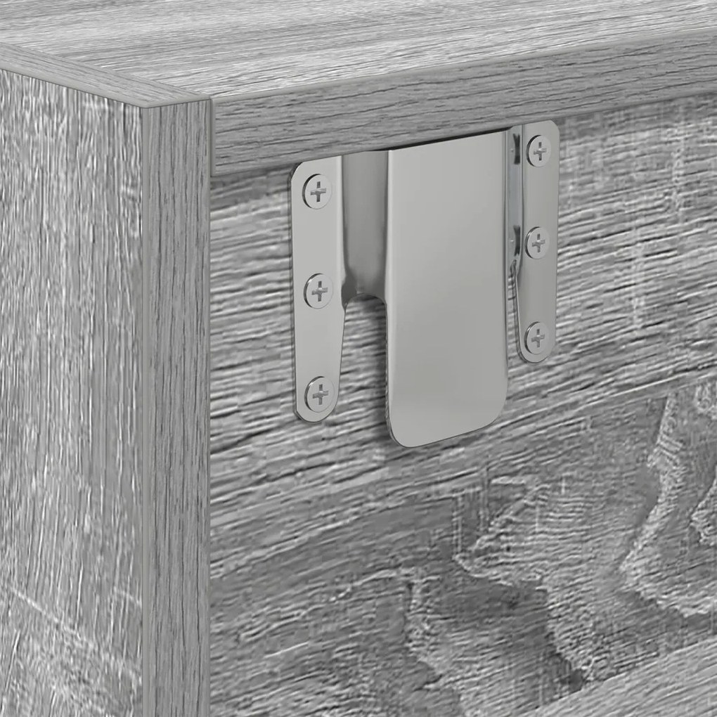 TV Szekrény Szürke Sonoma 100x31x25,5 cm Szerelt Fa