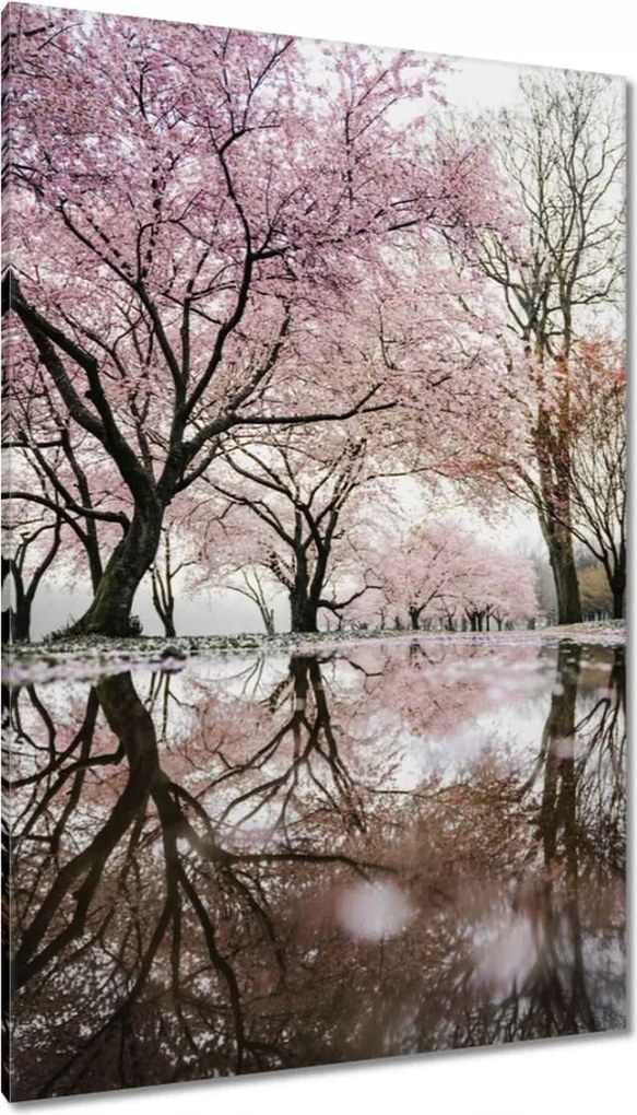 Vászonkép 80x120 Fa Kilátás