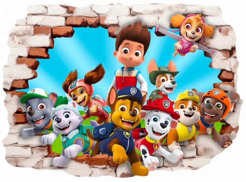 Falmatrica "PAW Patrol" 70x50 cm