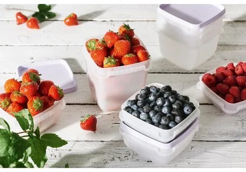 SmartStore Műanyag dobozok szett Freezer 3 db,levan dule, 1000 ml, 1000 ml