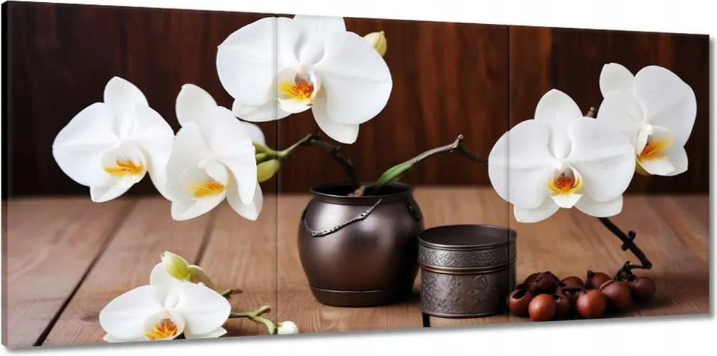 Vászonkép 150x70 Fehér orchideák