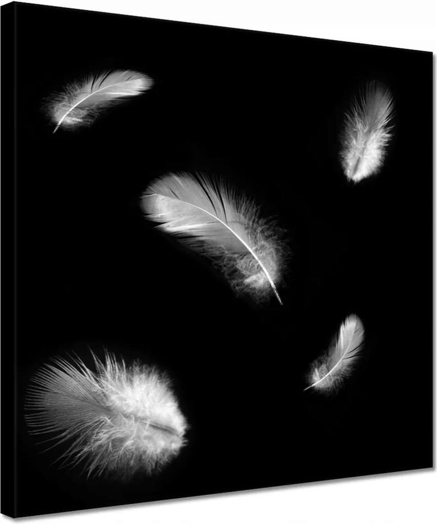 Vászonkép 30x30 Finom toll doboz