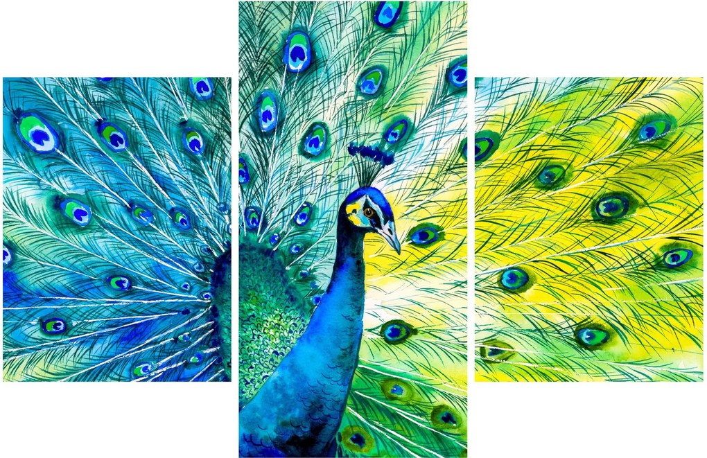 Páva képe (90x60 cm)