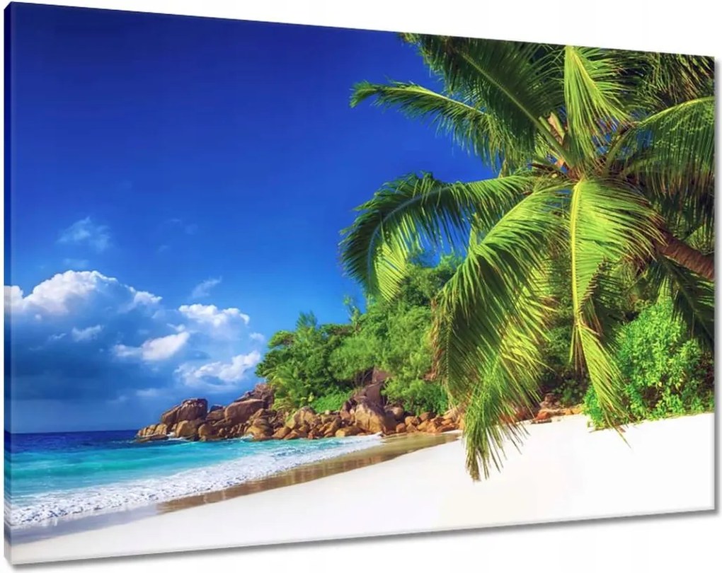 Festmények 100x70 Tropics Landscape Palms