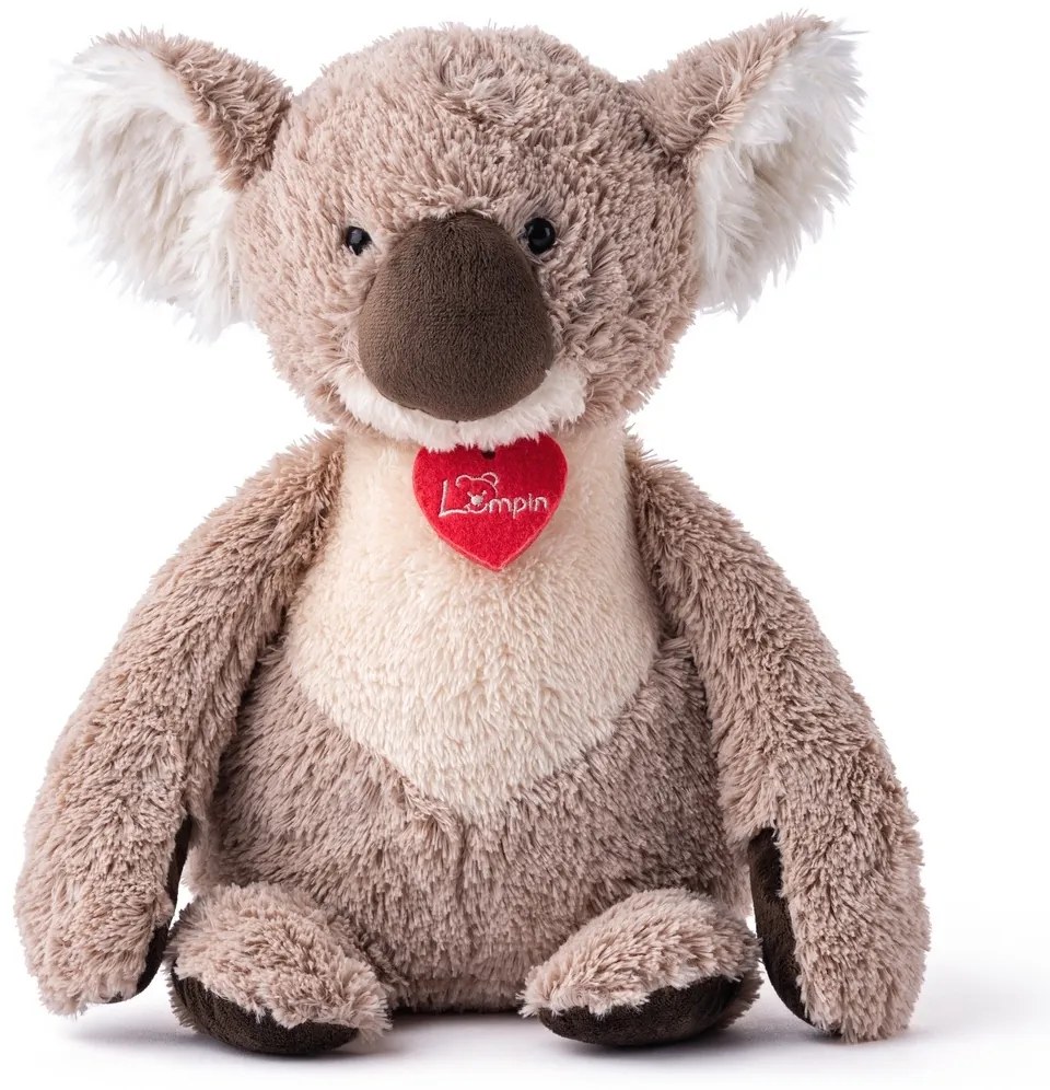 Lumpin Dubbo, a koala, 30 cm