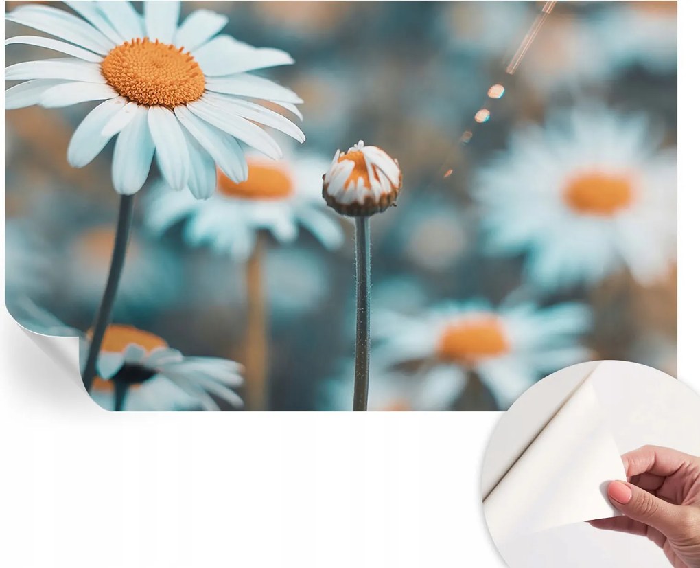 Öntapadós tapéta Falfestmény Prémium Kamilla finomság 416x254