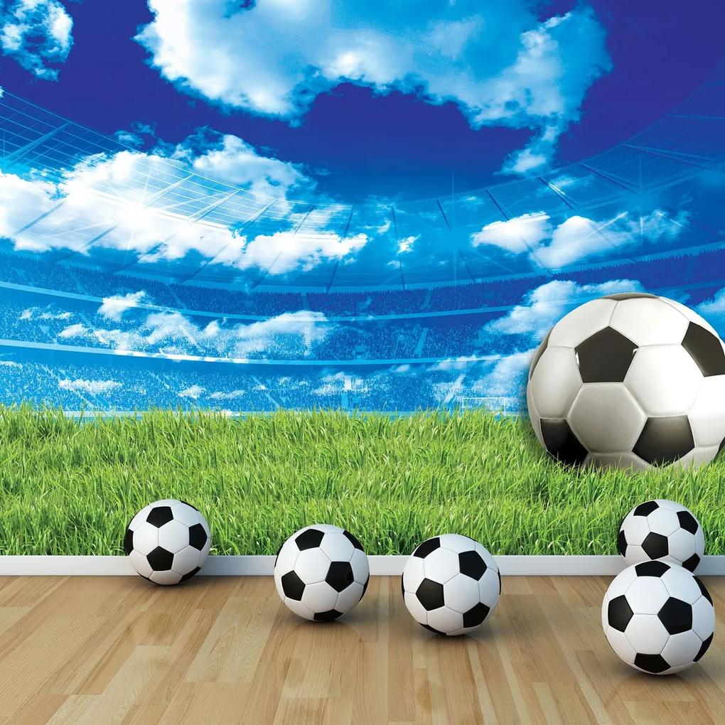 Fotótapéta - Futball a füvön (254x184 cm)
