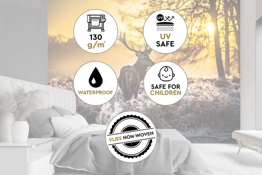 Gario Fotótapéta Szarvas a ködben Anyag: Vlies, Méret: 100 x 70 cm