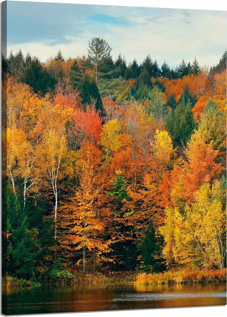 Vászonkép Színes Levelek Fák Ősz Természet 50x70 cm