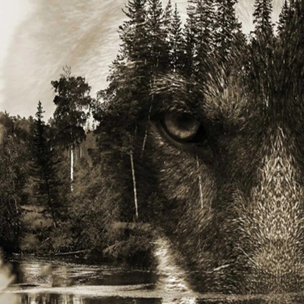 Gario Paraván Farkas az erdõ hátterén barna színben Méret: 180 x 170 cm, Kivitelezés: Klasszikus paraván