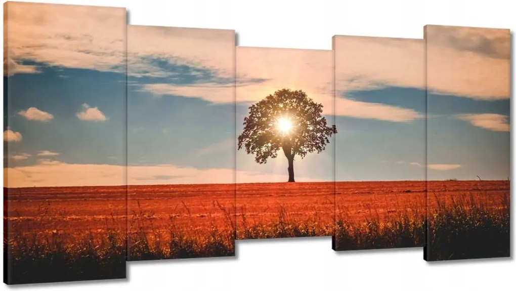 Festmények 150x80 Kilátás Tájkép