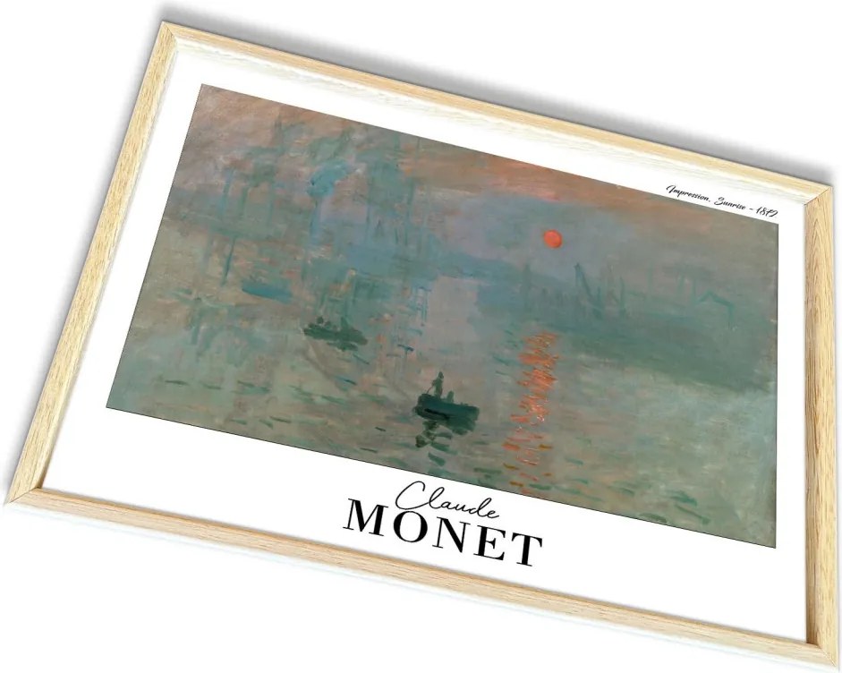 4262AHSMONET-008