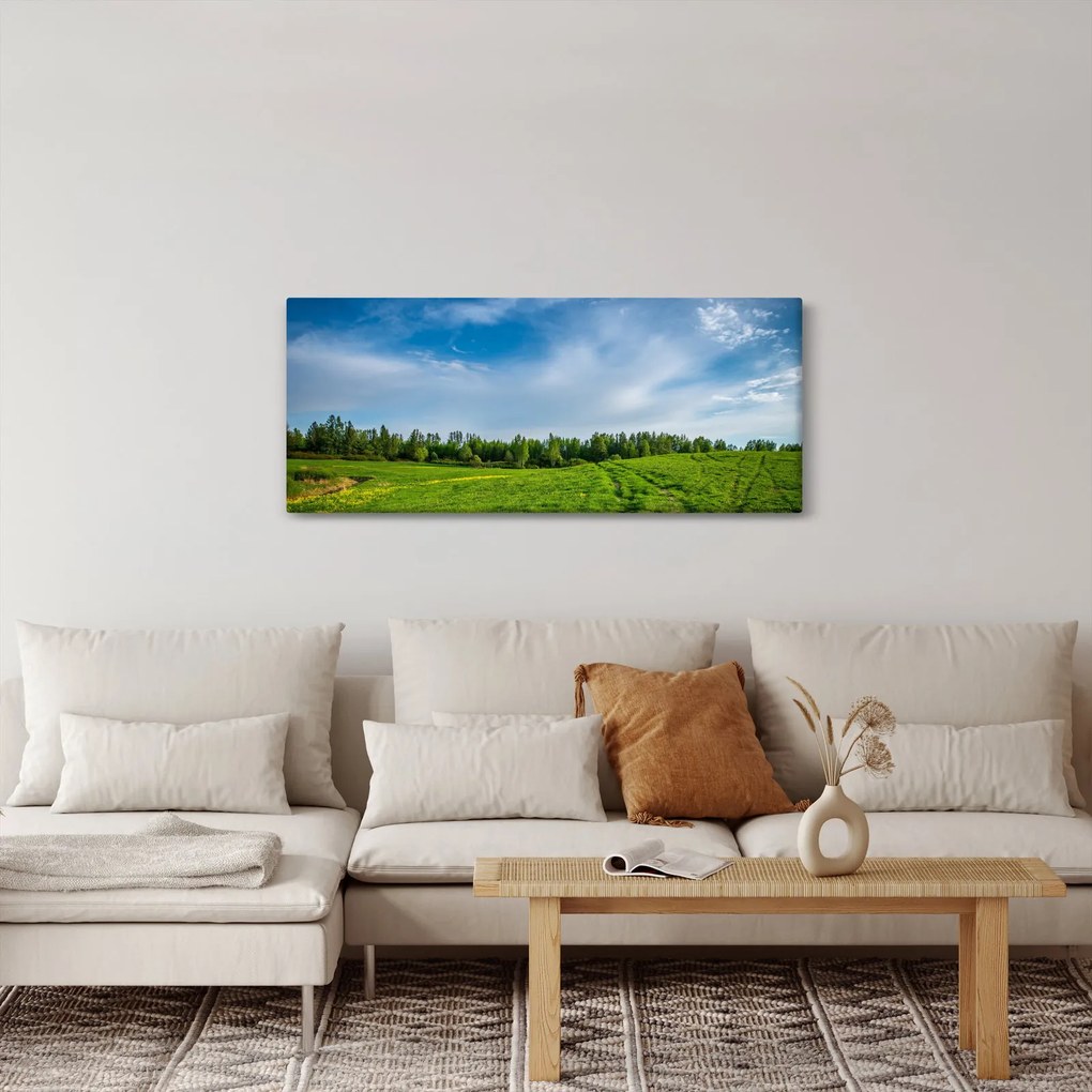 Rét képe (120x50 cm)