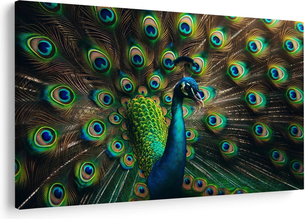Kép – Pávatoll (90x60 cm)