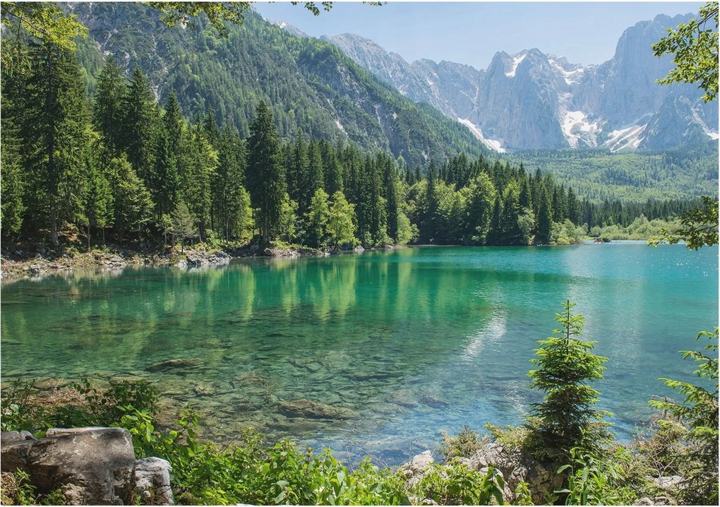 Fotótapéta Flizelin Dekoratív Hálószoba Zöld tó 208x146