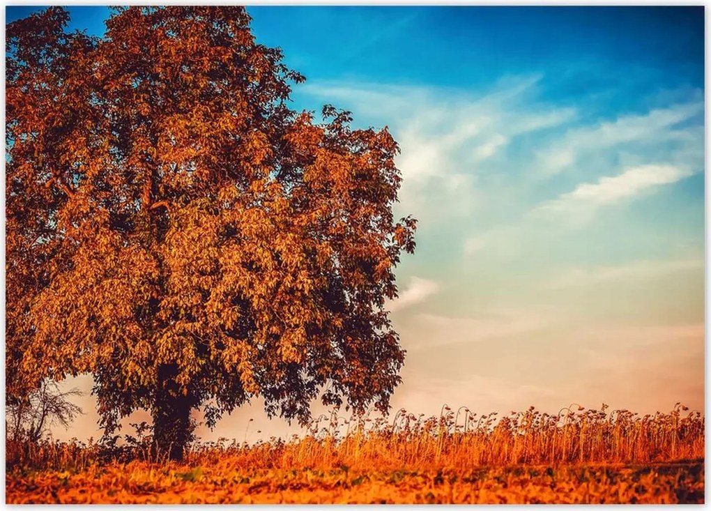 Poszterek 70x50 Jessiene színek Tájkép