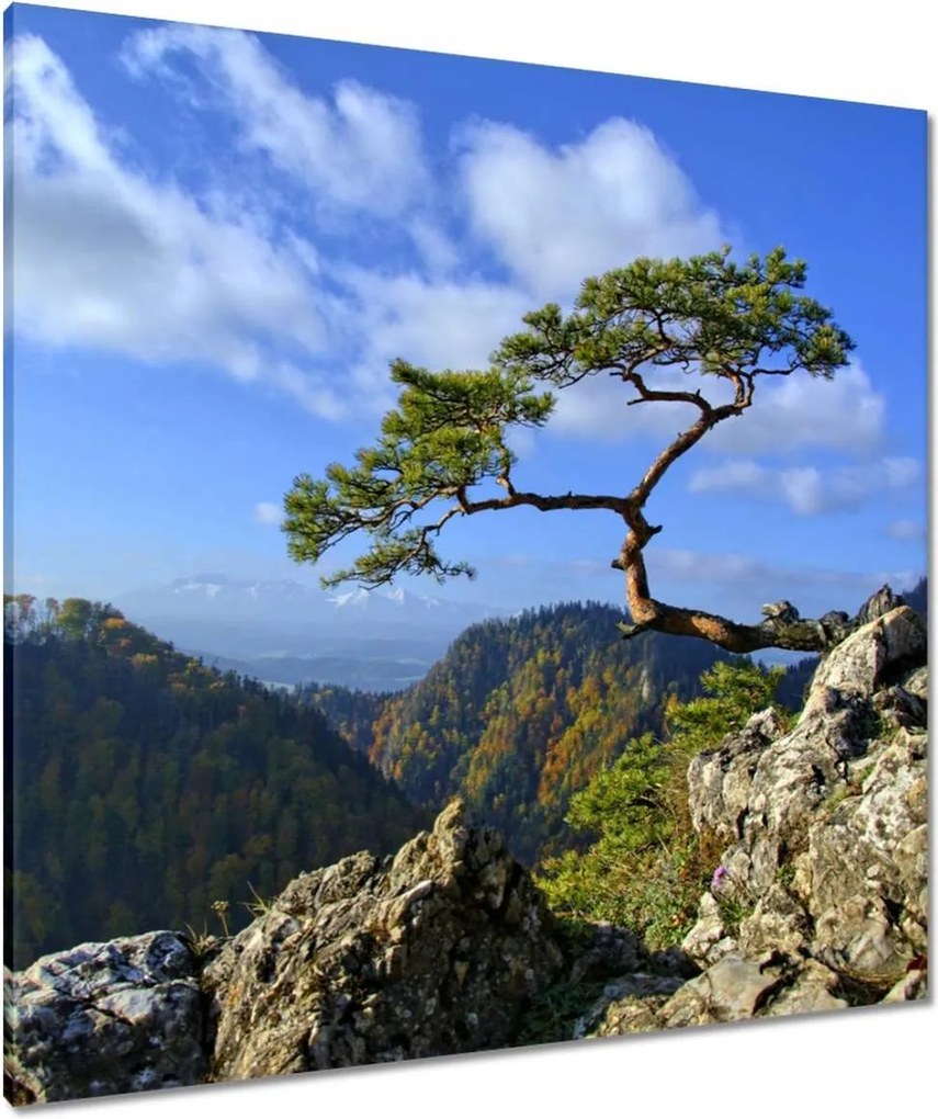 Vászonkép 90x90 Tájképek Kilátások Tájképek