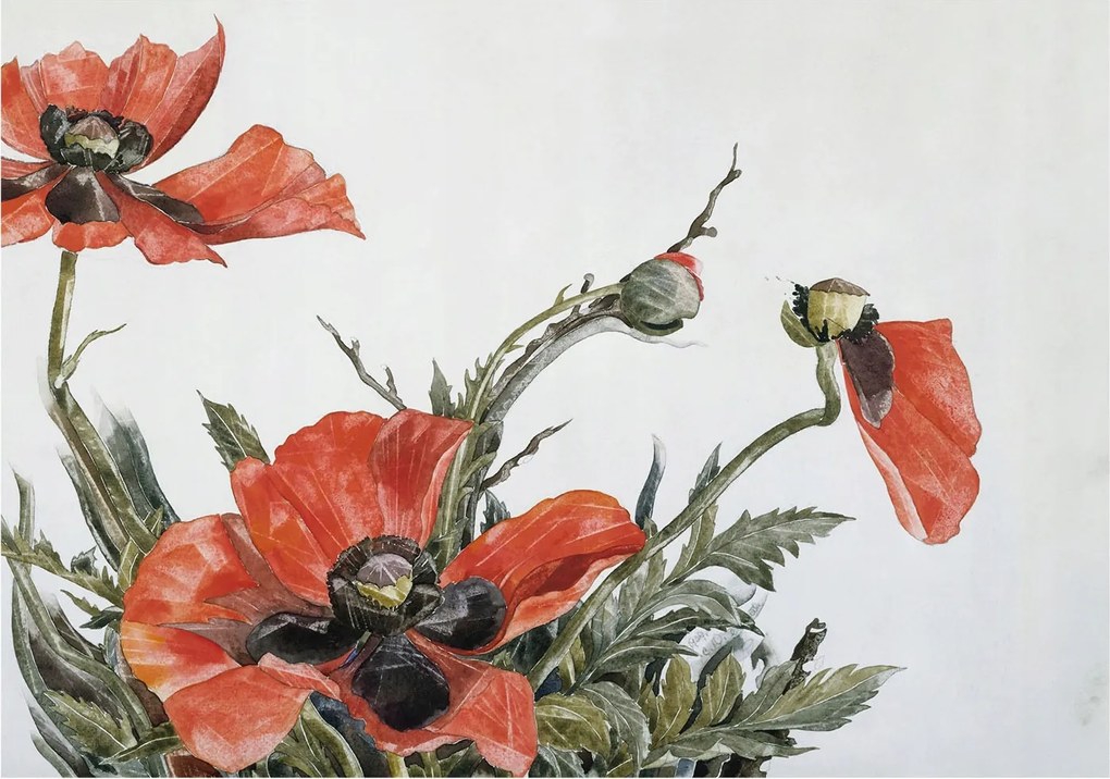 Flizelin tapéta falra Prémium piros pipacs 208x146 Ragasztó