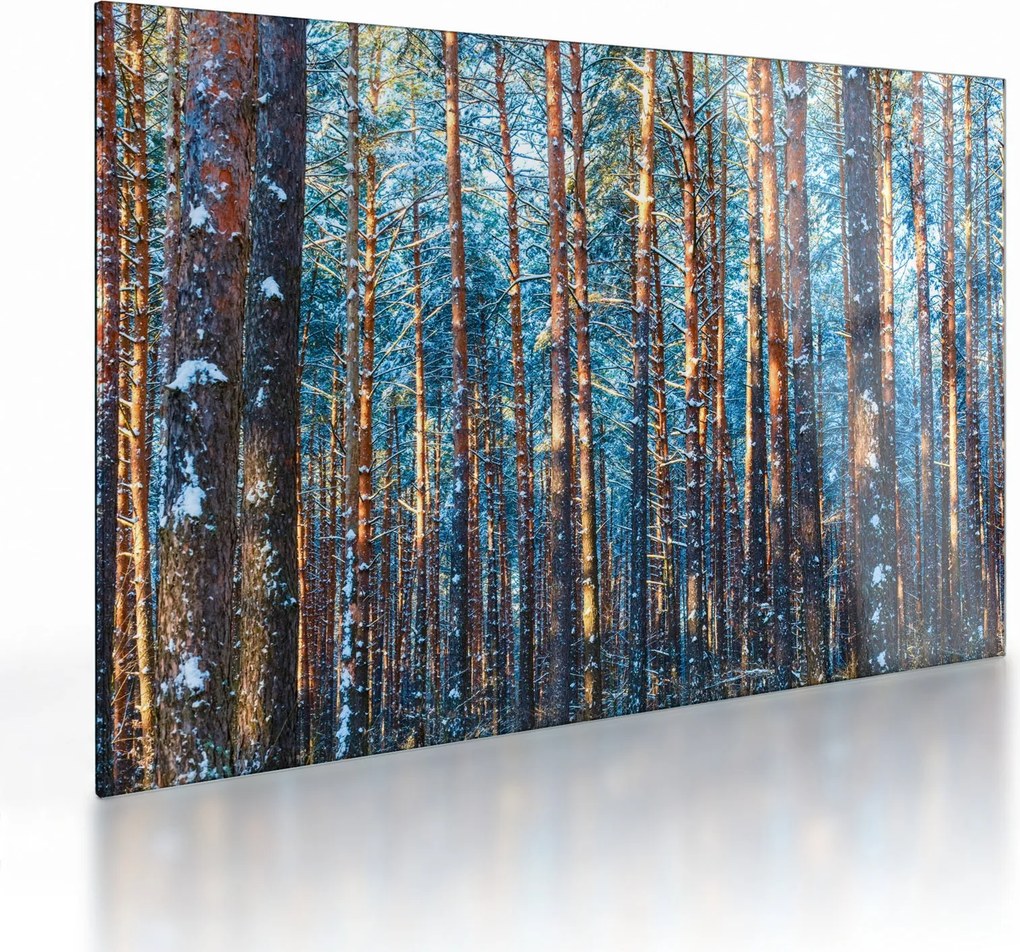 Kép - téli erdő (üvegen) (70x50 cm)