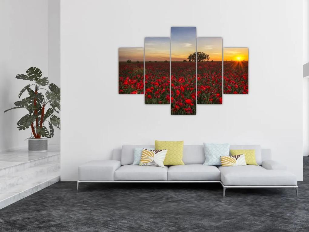 Pipacsos rét képe (150x105 cm)