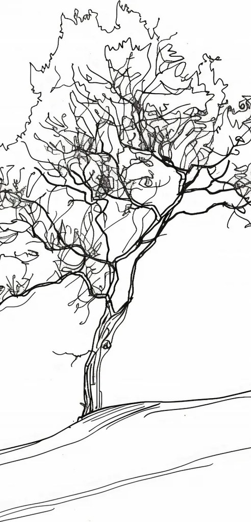 Poszter 30,5x91,5cm Fa vázlatban